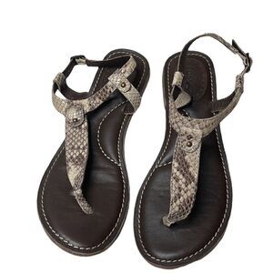 Fossil Snakeskin Thong Sandals. Size 7.5.